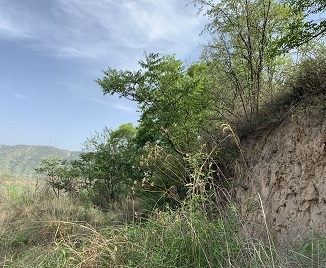 黄陵县输水工程项目暂时占用林地可行性报告现场勘探